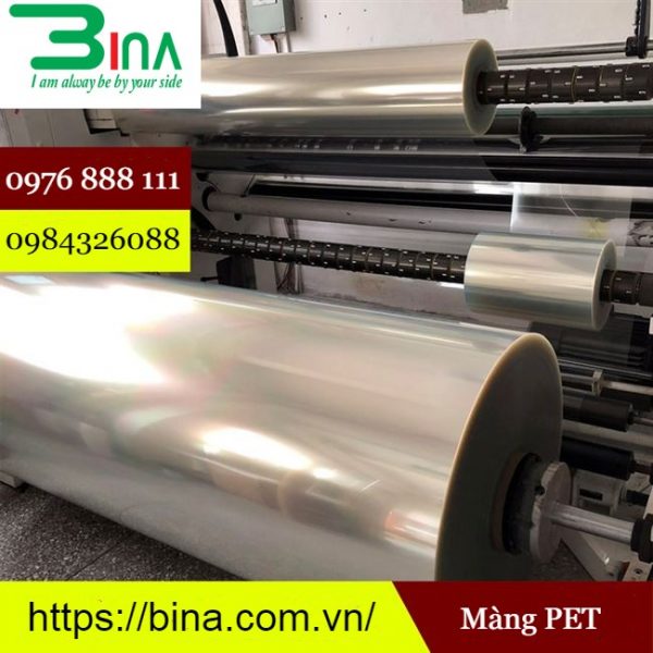 Màng nhựa PET chịu nhiệt, chống tĩnh điện